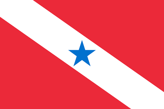 Bandeira do Pará
